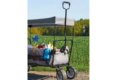 Chariot à bras pliable « Paxi », gris