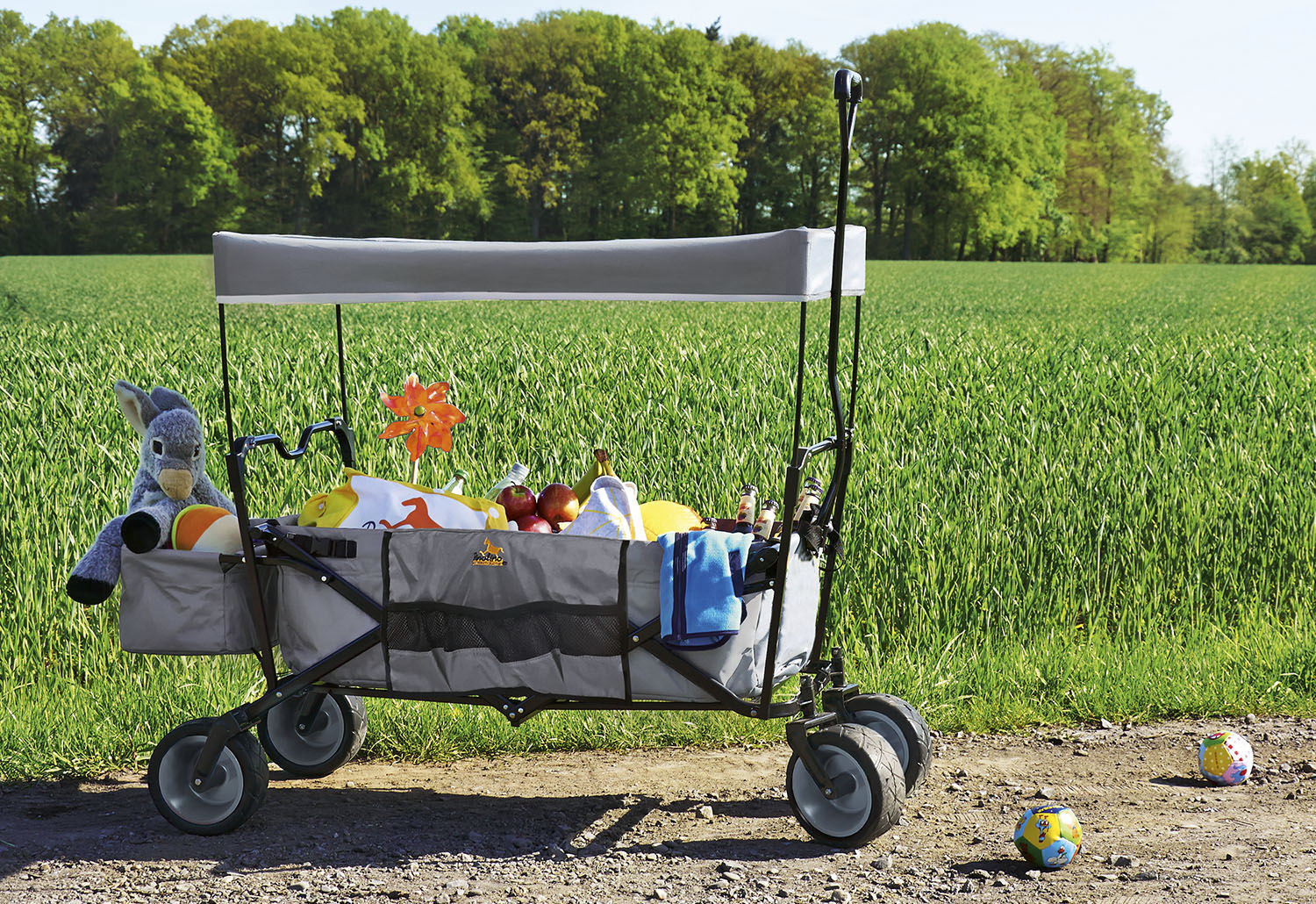 Chariot à bras pliable « Paxi », gris