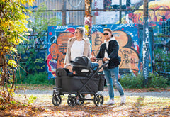 Chariot à bras pliable « Cruiser »