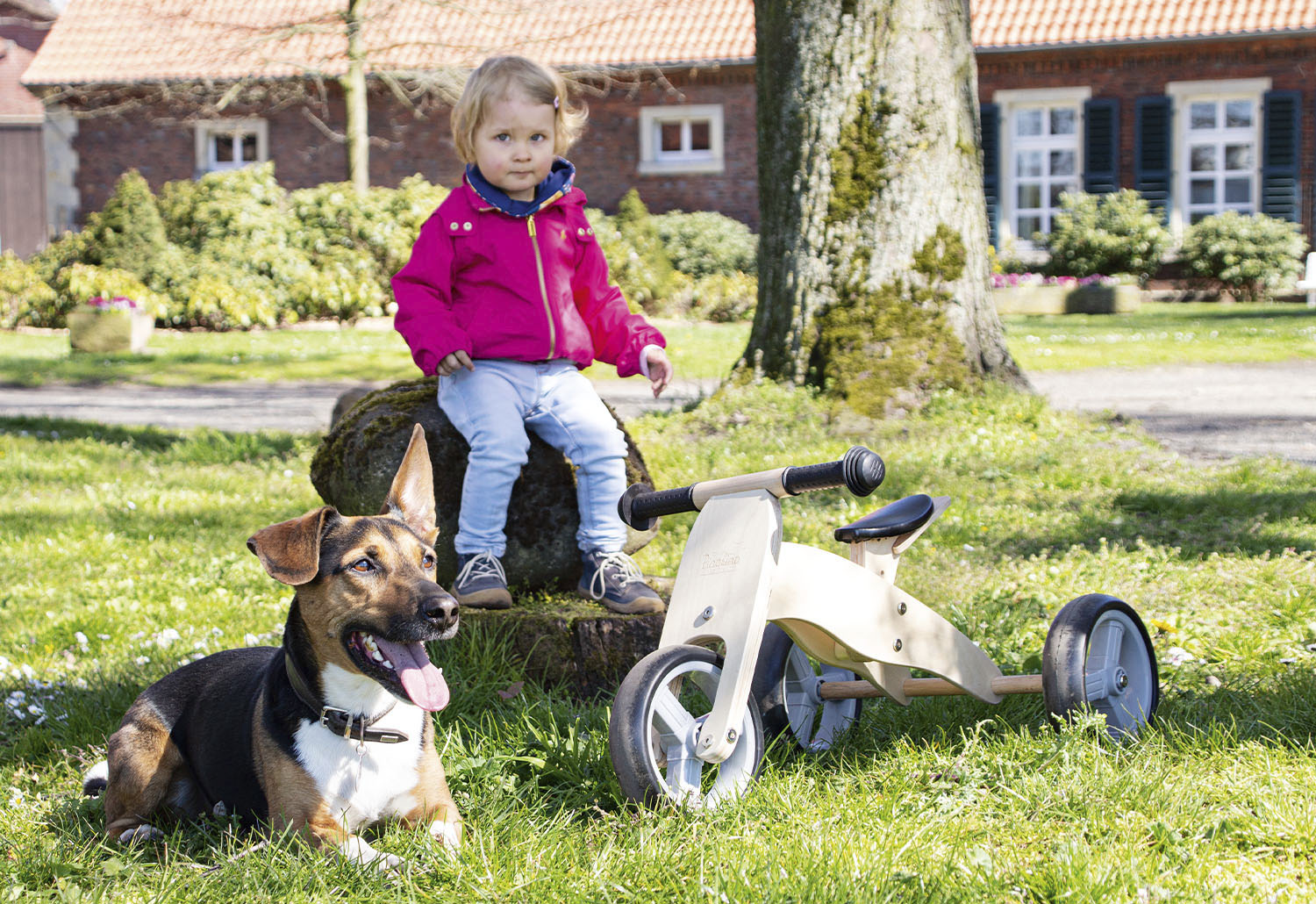 Mini tricycle d'équilibre « Charlie », naturel